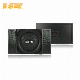 Professional 150W 10 Inch KTV Karaoke System Speakers