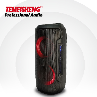 Tms-607 FM Radio with Handle USB Input Outdoor Blue Tooth Speaker