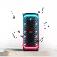 Temeisheng New Arrival Tws Dual 6.5 Inch Woofer Audio Box Bluetooth Portable Wireless Speaker Tms-639