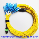 Hot Sale 12f Breakout Cable Fiber Patch Cord Sc to MPO Fiber Optic Patch Cord