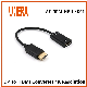 Anera Hot Sale 4K Dp Display to HDMI Converter Video Audio Adapter Converter Cable