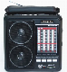  Multiband Radio with USB/SD and Rechargeable Battery (HN-8016UAR)