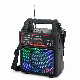  Bluetooth Wireless FM Radio Solar Charging Singalong Karaoke