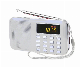 Factory Whosale USB Card MP3 Player FM Radio Receive Portable Radio