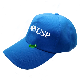 Custom Logo Printed Promotional Hat Baseball Cap