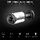 Super Wide Angle Fisheye Panoramic Poe IP Sony Surveillance Security CCTV Video Audio Waterproof IR Night Vision Starlight WDR Camera Hikvision Dahua