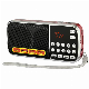  Support FM/Am Dual Band TF Memory Card Speaker Elderly Radio