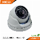 IP67 Mini Ik10 Eyeball IR Dome CCTV Analog Ahd Tvi Wireless 4G WiFi Home Security Digital Video Surveillance Poe IP Fisheye Vr Panoramic Camera