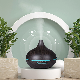 300ml Wood Grain Ultrasonic Humidifier Aroma Diffuser with Colorful Changing Light manufacturer