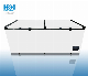  Commercial Big Capacity Double Door Chest Freezer 1100L Model: Bd/Bc-1100