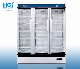 Commercial Big Capacity Upright Showcase Pulling Door 1100L Model: Lsc-1100K