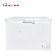  300 L Commercial Top Open Metal Door Mini Chest Freezer for Supermarket Hotel Shop and Kitchen Bc/Bd-307