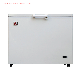 OEM SKD 64-300L12V/110V/220V Air-Cooled Controller Single Door Chest Freezer for Home manufacturer