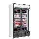  800L Double Door Vertical Display Frozen Beverage Display Cabinet Commercial Beverage Freezer