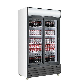 800L Double Door Vertical Display Frozen Beverage Display Cabinet Commercial Beverage Freezer