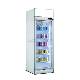  Commercial Single Door 500L Vertical Transparent Glass Refrigerated Showcase Fridge Chiller