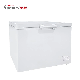 200 L Commercial Top Open Door Mini Chest Freezer for Supermarket Hotel Shop Bc/Bd-216