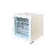 55L Ice Cream Mini Fridge Freezer SD-55