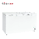 Restaurant Kitchen and Convenience Shop Use Commercial Big Space Top Open Door Frozen Storage Chest Freezer 607L Bc/Bd-607