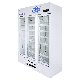 Gsp Standard Three-Door Dual Layer Glass Biomedical Laboratory Hospital Medical Storage LC-980d