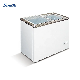 Commercial 110/220V Shop Portable Ice Cream Glass Door Chest Freezer Price