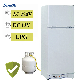 185L 225L 275L LPG AC DC Double Door Absorption Gas Fridge Refrigerator