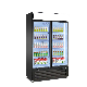 2 Door Dynamic Cooling Upright Beverage Commercial Cooler with Big Canopy