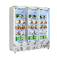 Commercial Glass Door Beverage Upright Display Refrigerator Freezer