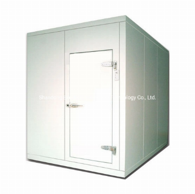 Frozen Food Storage Walk-in Freezer Cold Room Refrigerator Display Showcase