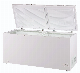 Double Top Foaming Door Freezer Deep Freezer with Lock manufacturer