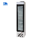  Lsd-118L Commercial Glass Door Fridge Display Showcase Equipment Freezer Refrigerator