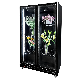  770L Cool Black Top Glass Double Door Commercial Display Refrigerator