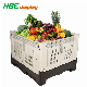 Storing Freshly Collected Fruit Vegetables Logistic Pallet Box Plastic Crates