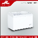 360L Double Doors Freezer SD/Sc-360y Curved Door Freezer