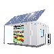 Solar Panel Powder Built-in Battery Deep Cold Freezer Room Storage