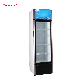 Commercial Display Freezer Showcase, Glass Door Refrigerator / Beverage Cooler