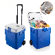 30L 12V Portable Car Travel Refrigerator Cooler and Warmer Mini Fridge Freezer