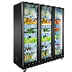  Commercial Vertical Upright Display Freezer Showcase with Glass Doors