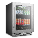 154L Beverage Cooler/Mini Fridge