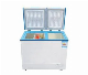  Factory Supply Competitive Price 305L DC National Compact Fridges Freezers Refrigerators with 2 Door2 Temp