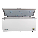 758L -45c Ultra Low Temperature Seafood Tuna Storage Freezer (DW-45W758) manufacturer