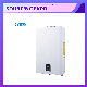  Constant Temperature Hot Sale Flue Type Wall Mounted Instant Water Heater