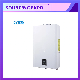 Constant Temperature Hot Sale Flue Type Wall Mounted Instant Water Heater