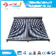 Vacuum Solar Collector China Manufacturer