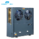  Chinese Boiler Fresh Air Water Heat Exchanger Aquaculture High Temperature 85c Heating Heat Pump