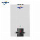 High Quality Combi Solar System Hot Steel Wall Stainless Hotel White Coating Instant LPG Calentador De Agua De Gas Boiler Gas Water Heater