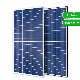 Sunseeker Chinese Factory Half Cell Solar Module 340W Poly Solar Panel with 5 Years Warranty for Home and Industry Use