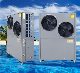  Mango Energy 20kw 30kw Swimming Pool Heat Pump Pool Water Heater for House Use and Commercial
