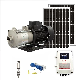 Sunseeker High Pressure Water Pump, 72V DC Surface Solar Water Pump, High Pressure Waterpump