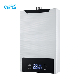  Balance Forced Type Shower LPG 12L Gas Hot Water Heater